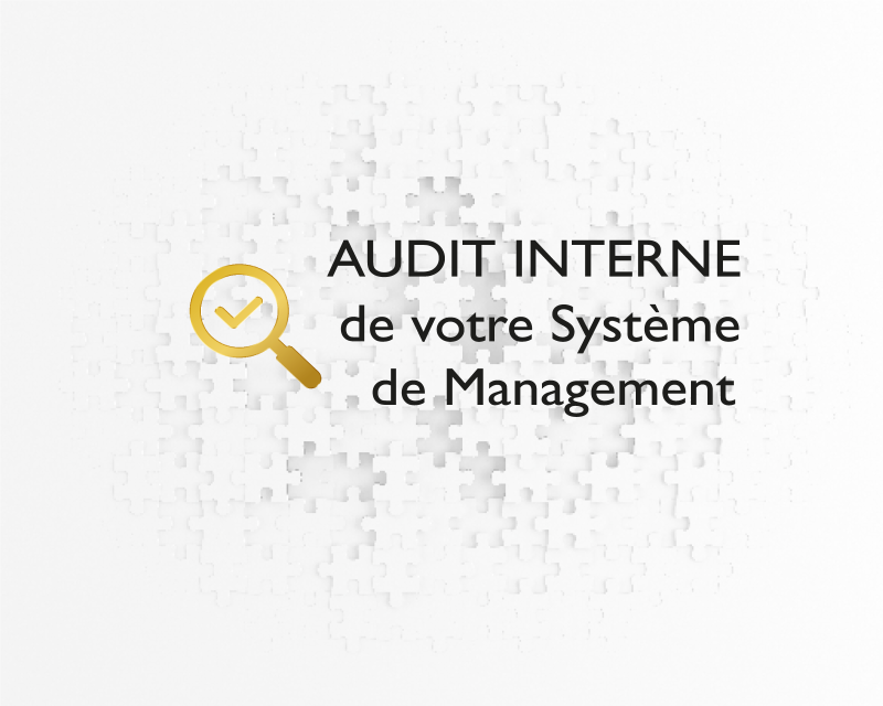 Consultant auditeur IRCA audit interne MDC QUALITE