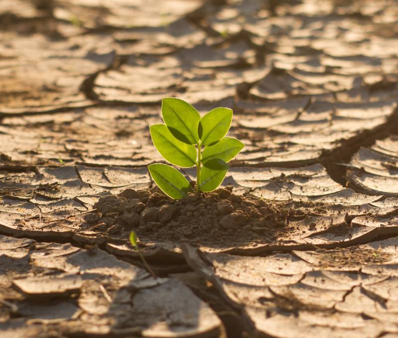 Exigences climatiques au sein de ses référentiels majeurs ISO 9001, 14001, 45001