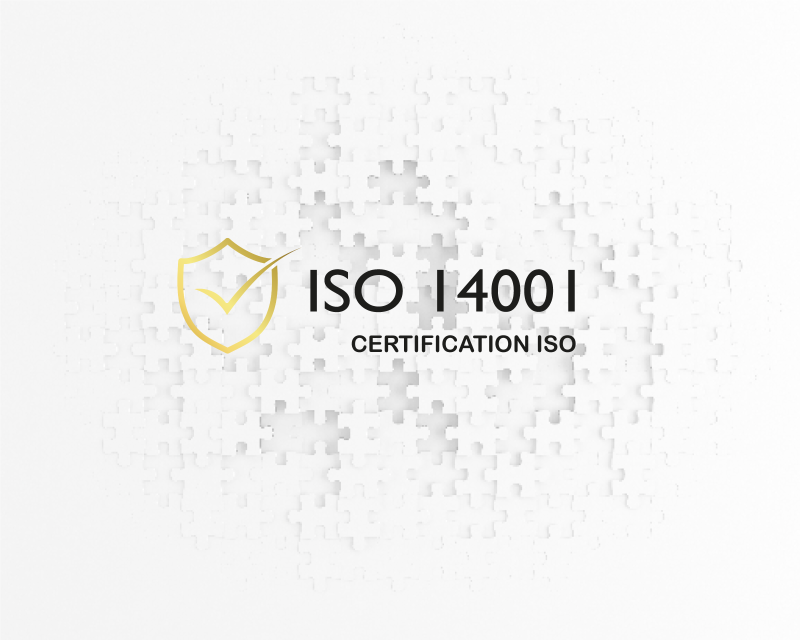 Consultant Expert certification ISO 14001 version 2026 : Accompagnement et mise en place, Audit, Formation