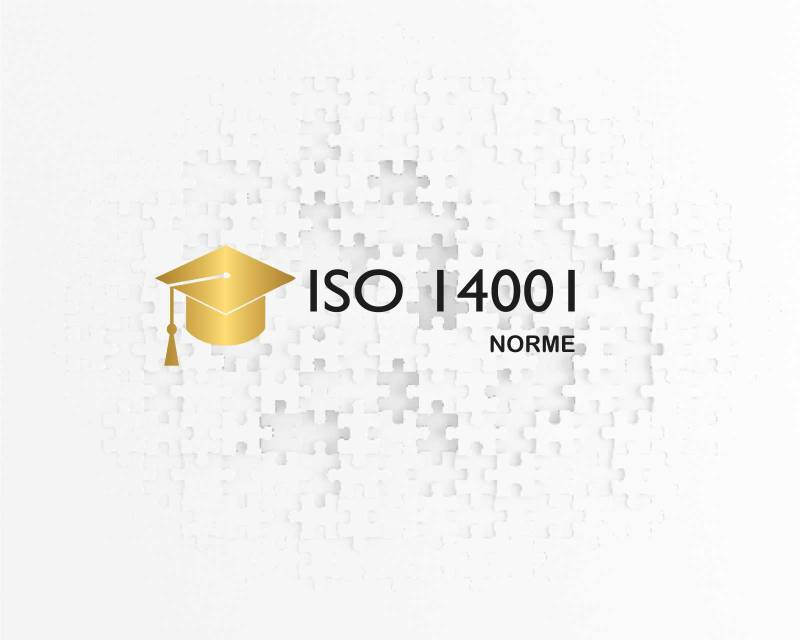 Formation Norme ISO 14001 version 2026 en présentiel distanciel ou mixte